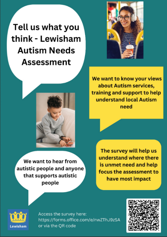 Lewisham Autism Needs survey